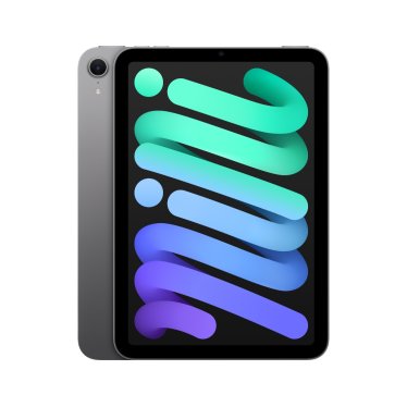 [Open Box] Apple iPad mini - Wi-Fi - 256GB - Space Gray (2024)