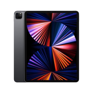 [Refurbished] iPad Pro (12,9-inch) - 2021 - Wi-Fi - 512GB - Space Gray